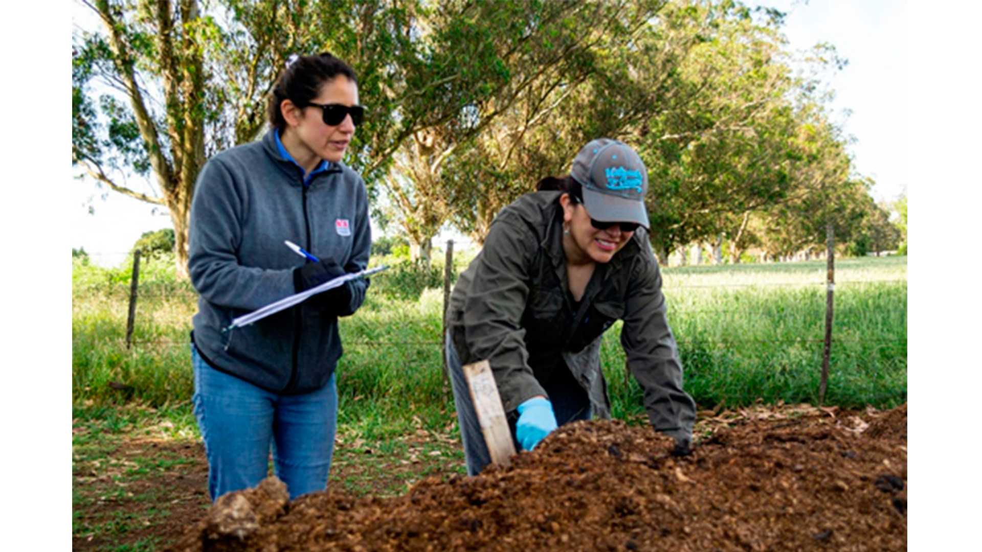 Investigadores de INTA detectan elementos potencialmente tóxicos en compost de cama de pollo