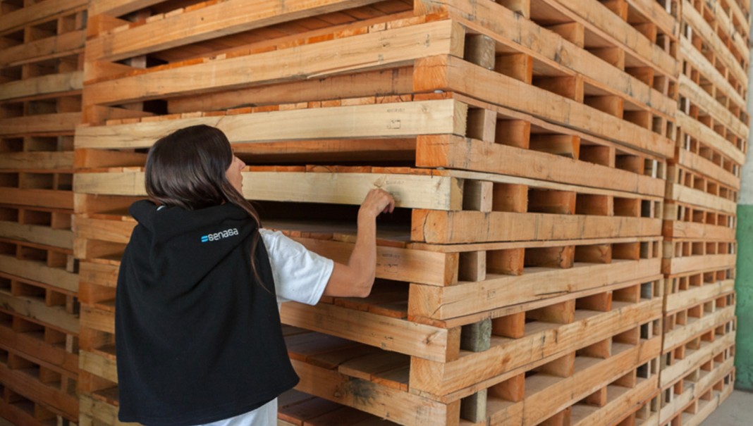 El Gobierno simplifica el control de embalajes de madera en el comercio internacional