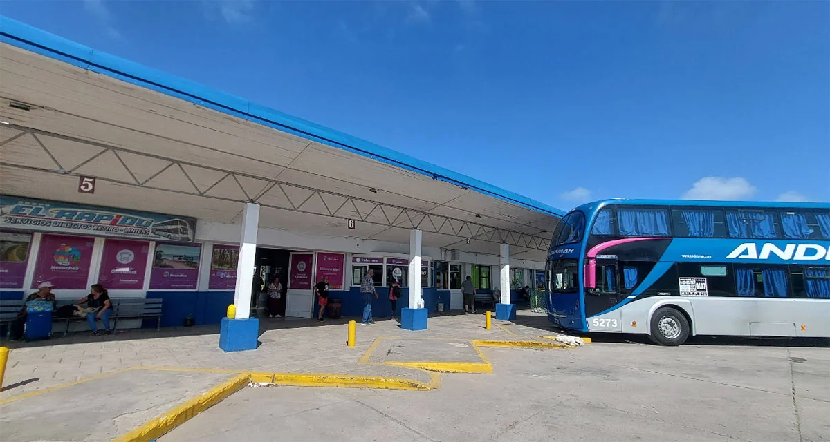 Incertidumbre en la Terminal: el Concejo debate su concesión pero los trabajadores no fueron notificados